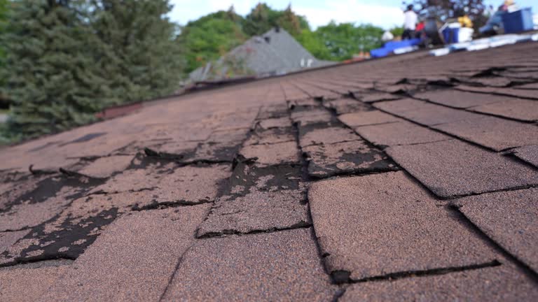 Best 4 Ply Roofing  in Nicoma Park, OK