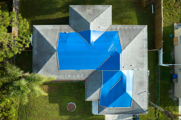 Best Roof Moss and Algae Removal  in Nicoma Park, OK