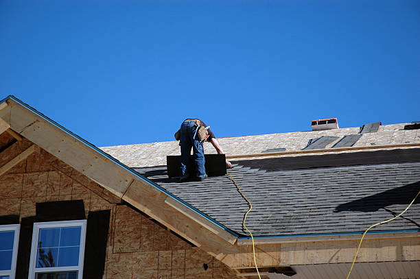 Best Roof Moss and Algae Removal  in Nicoma Park, OK